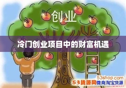 冷门创业项目中的财富机遇