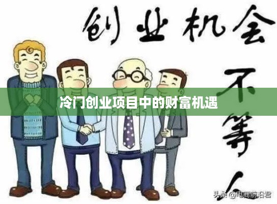 冷门创业项目中的财富机遇