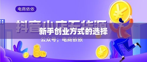 新手创业方式的选择