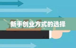 新手创业方式的选择