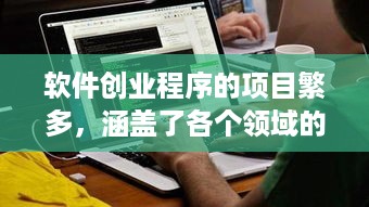 软件创业程序的项目繁多，涵盖了各个领域的需求。以下是一些常见的软件创业程序项目