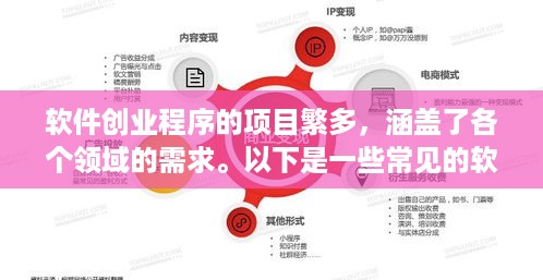 软件创业程序的项目繁多，涵盖了各个领域的需求。以下是一些常见的软件创业程序项目