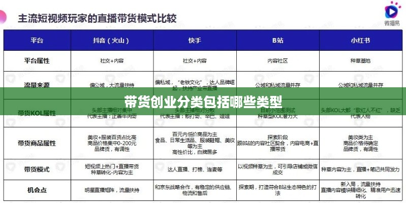 带货创业分类包括哪些类型