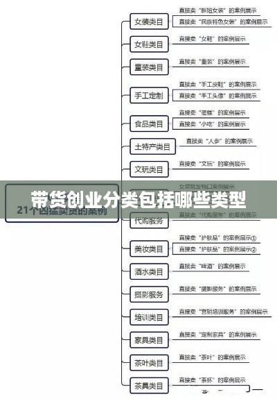 带货创业分类包括哪些类型