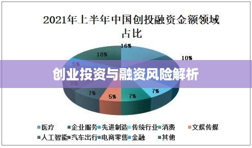 创业投资与融资风险解析