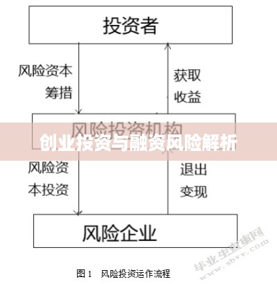 创业投资与融资风险解析