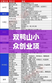 双鸭山小众创业项目盘点