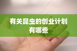 有关昆虫的创业计划有哪些