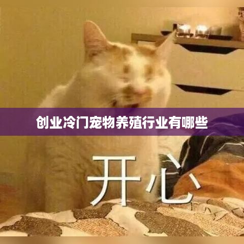 创业冷门宠物养殖行业有哪些