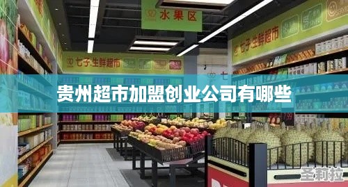 贵州超市加盟创业公司有哪些