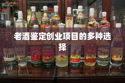 老酒鉴定创业项目的多种选择