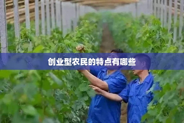 创业型农民的特点有哪些