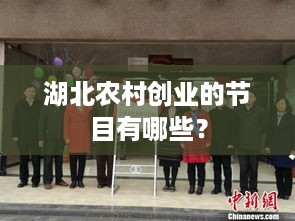 湖北农村创业的节目有哪些？