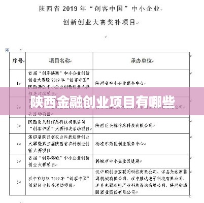 陕西金融创业项目有哪些