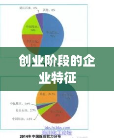 创业阶段的企业特征