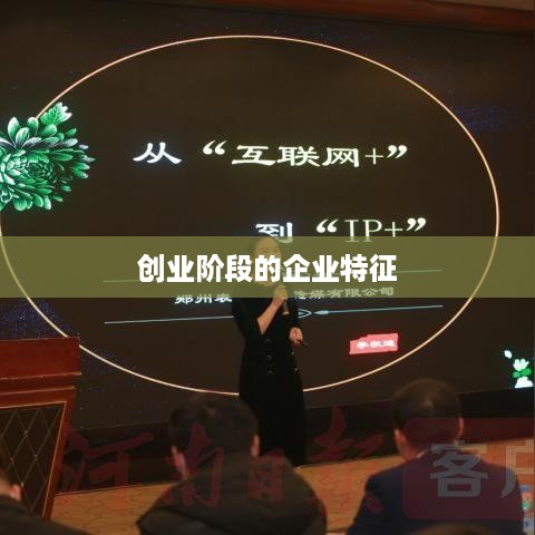 创业阶段的企业特征