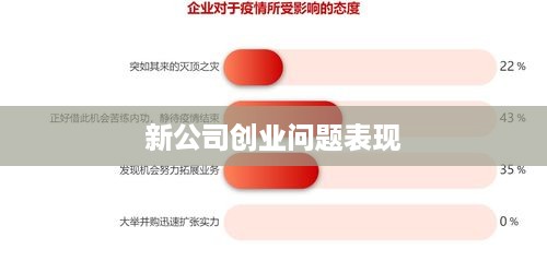 新公司创业问题表现