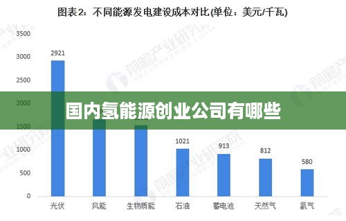 国内氢能源创业公司有哪些