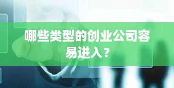 哪些类型的创业公司容易进入？