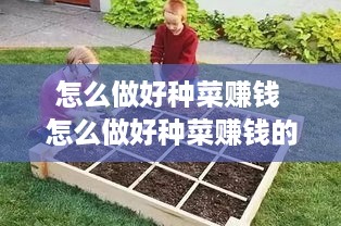 怎么做好种菜赚钱 怎么做好种菜赚钱的工作