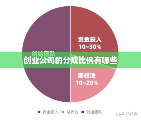 创业公司的分成比例有哪些