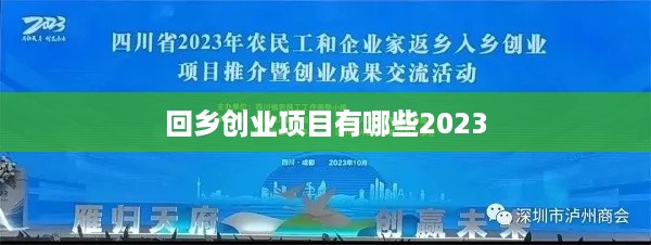 回乡创业项目有哪些2023