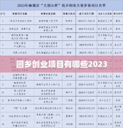 回乡创业项目有哪些2023