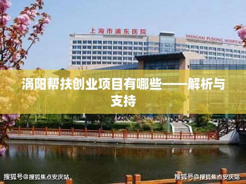 涡阳帮扶创业项目有哪些——解析与支持