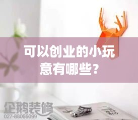 可以创业的小玩意有哪些？