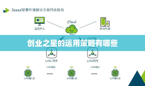 创业之星的运用策略有哪些