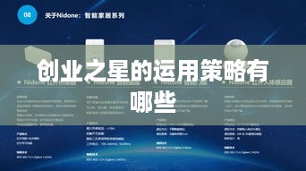 创业之星的运用策略有哪些