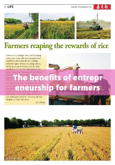 The benefits of entrepreneurship for farmers