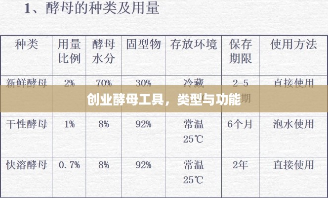 创业酵母工具，类型与功能