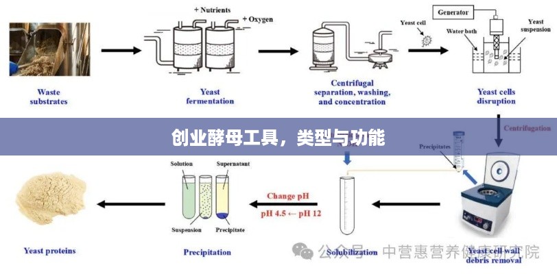 创业酵母工具，类型与功能