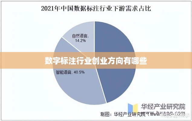 数字标注行业创业方向有哪些