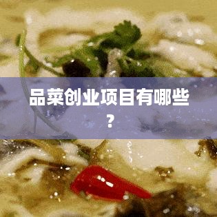 品菜创业项目有哪些？