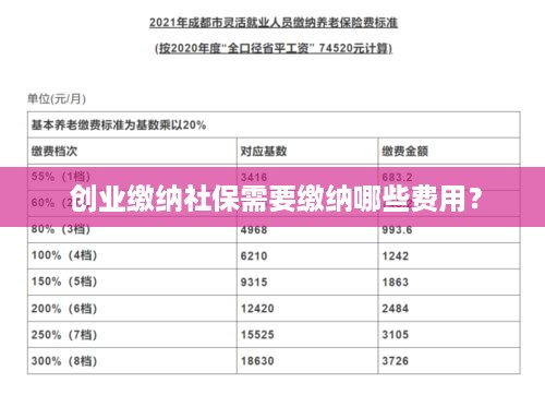  创业缴纳社保需要缴纳哪些费用？