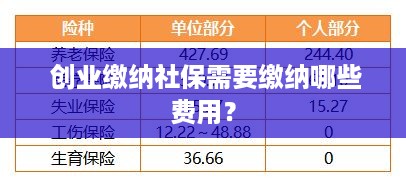  创业缴纳社保需要缴纳哪些费用？