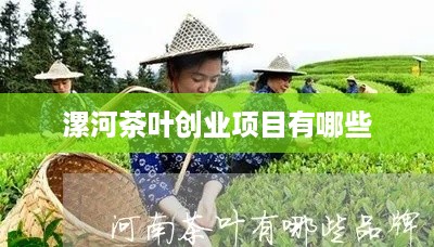 漯河茶叶创业项目有哪些