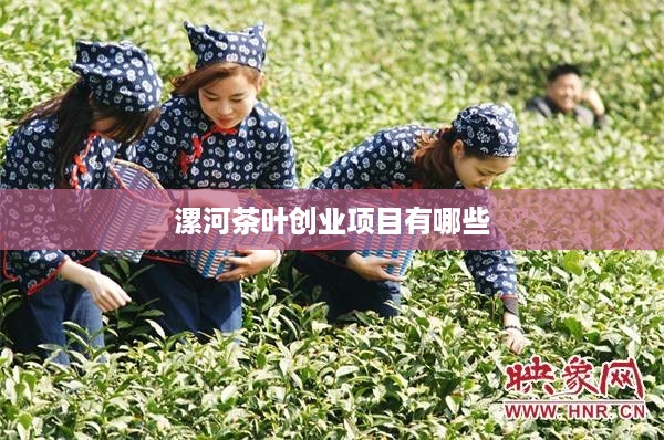 漯河茶叶创业项目有哪些