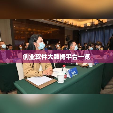 创业软件大数据平台一览