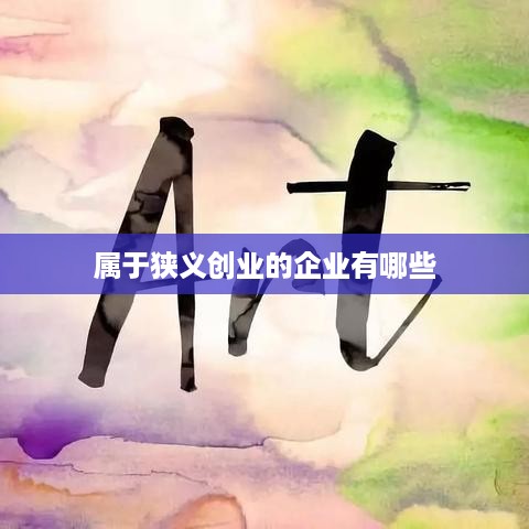 属于狭义创业的企业有哪些