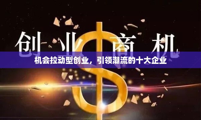 机会拉动型创业，引领潮流的十大企业