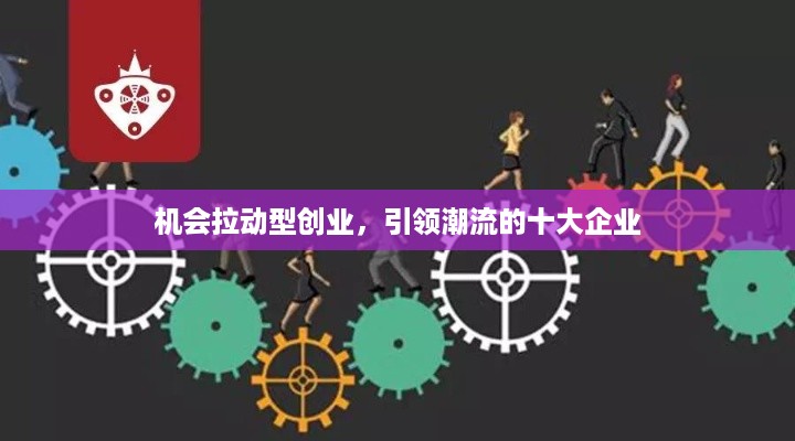 机会拉动型创业，引领潮流的十大企业