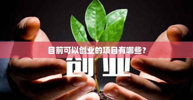 目前可以创业的项目有哪些？