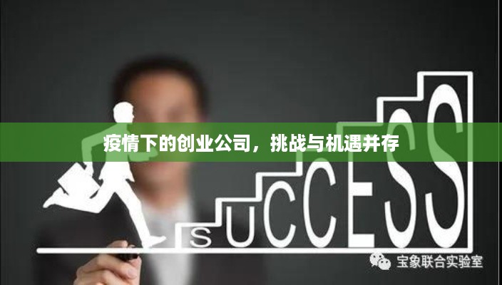 疫情下的创业公司，挑战与机遇并存