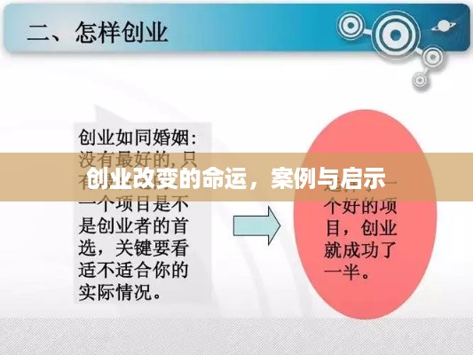 创业改变的命运，案例与启示