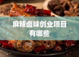 麻辣卤味创业项目有哪些