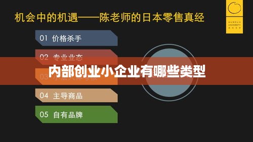 内部创业小企业有哪些类型