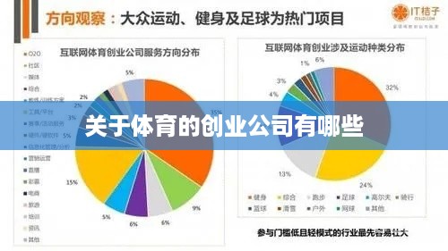 关于体育的创业公司有哪些